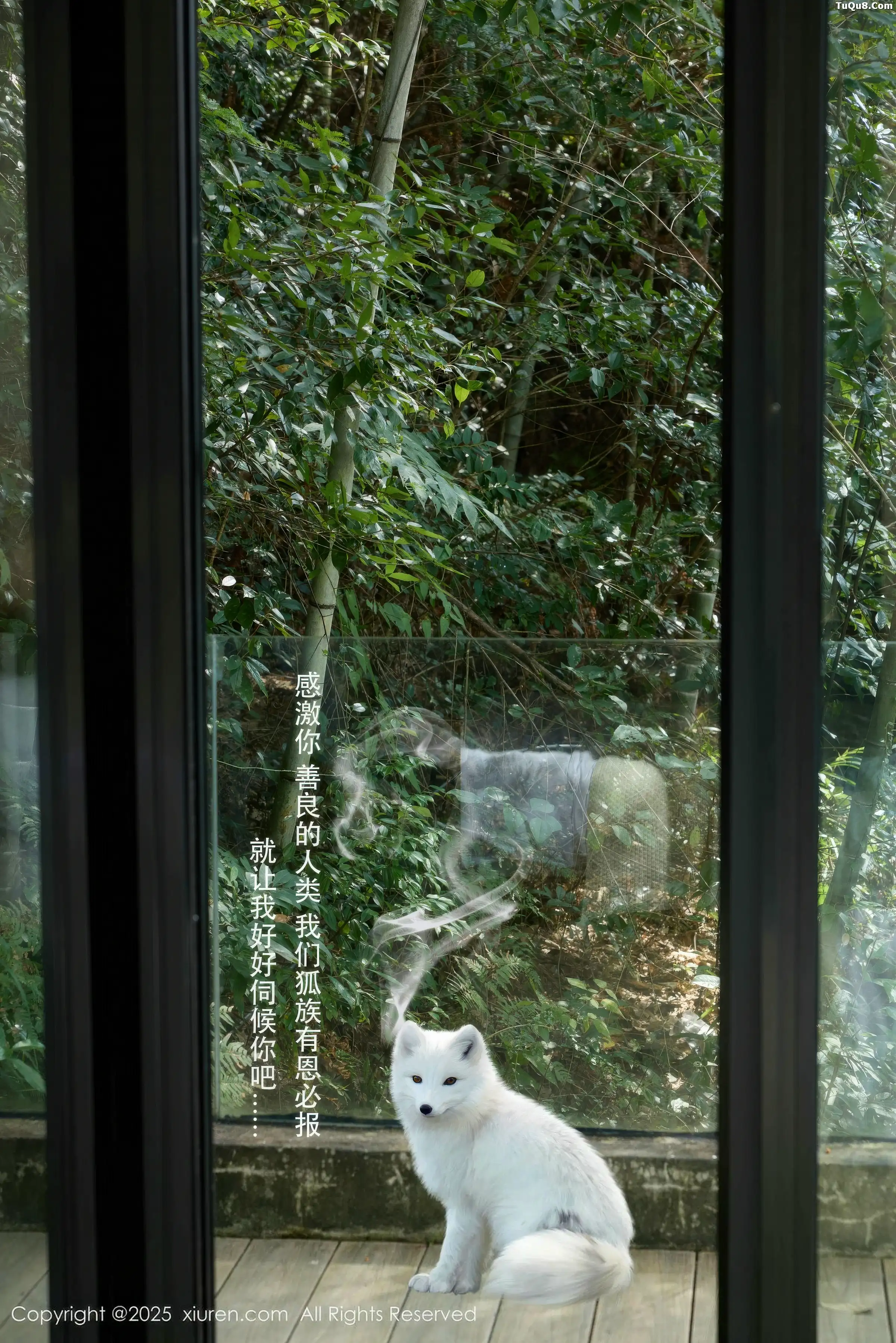 [XiuRen秀人网]第11068期尹甜甜写真-秀人集